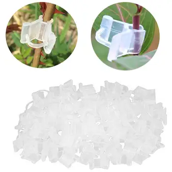 100GAB Augu Klipus Mini caurspīdīgas Plastmasas Potēšanas Saspraudes Skavas Sētu Atbalsta Savienotājs