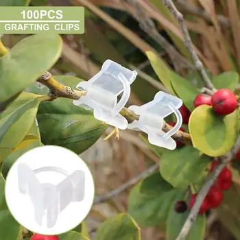 100GAB Augu Klipus Mini caurspīdīgas Plastmasas Potēšanas Saspraudes Skavas Sētu Atbalsta Savienotājs