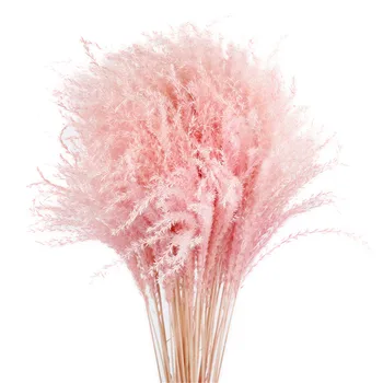 10pcs Kāzu dekorēšana rozā balts pampu zāle kaltētas dabas phragmites ziedi, mājas dekoru, dabiski kaltētu buķete kaltēti ziedi