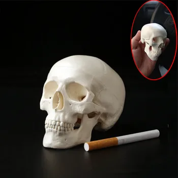 1pc Mini Skull Cilvēka Anatomisko Galvas Anatomija Medicīniskā Modeļa Ērti 92*99*71mm