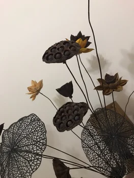 55cm Dabas DIY Lotus Žāvētu ziedu kāzu dekorēšana mājas puse birojs dekoratīvs mākslīgais kaltēti ziedi