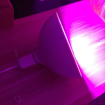 800 LED Augt Gaismas Spuldzes Augu Ziedu Izaugsmes Lampas Iekštelpu siltumnīcas efektu Izraisošo Augu Audzēšanas Phytolamp Augiem Augt Kaste