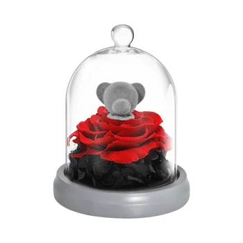Ainyrose Mūžīgo Konservēti Rožu Gudrs Lācis, Zaķis Stikla Kupola Led Gaismas Kāzu Mākslīgo Ziedu Valentīna Mātes Diena Dāvanas