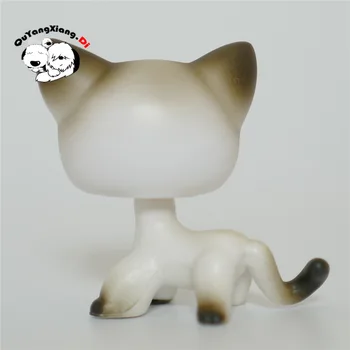CWM085 Pet Shop Dzīvnieku Piena slīpums kaķis kaķēns lelle rīcības Attēls