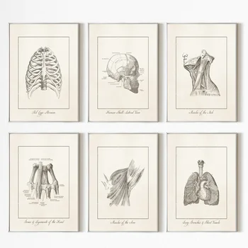 Cilvēka Anatomija Sirds Galvu Sienā Mākslas Druka Kanvas Glezna Ziemeļvalstu Vintage Plakātu Sienas, Attēlus Klīnikas Ārsts, Medmāsa Apdare