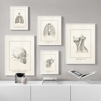 Cilvēka Anatomija Sirds Galvu Sienā Mākslas Druka Kanvas Glezna Ziemeļvalstu Vintage Plakātu Sienas, Attēlus Klīnikas Ārsts, Medmāsa Apdare