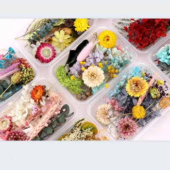 DIY sausie Ziedi Sveķu Pelējuma Pildījumi sausie Ziedi UV Expoxy Ziedu Nail Art Nospiests Nekustamā Ziedi Handcraft Mājas Apdare