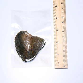 DMKB0022 6-9MM Dabas Pērle Saldūdens Kultivētās Rīsu Lodītes, Iepakoti Vakuumā Austeres Pērļu Austeres Pērļu Ēdamgliemene