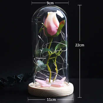 Draudzenei Dzimšanas dienas Dāvanu Romantika Mūžīgās Dzīvības Ziedu, Stikla Vāks Skaistums un Zvērs Rožu LED Akumulatora Lam Dekoratīvās Žāvētu Ziedu