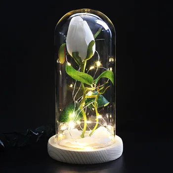 Draudzenei Dzimšanas dienas Dāvanu Romantika Mūžīgās Dzīvības Ziedu, Stikla Vāks Skaistums un Zvērs Rožu LED Akumulatora Lam Dekoratīvās Žāvētu Ziedu