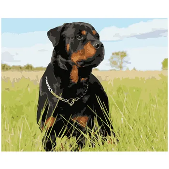 Glezna Numuru DIY Dropshipping liela izmēra Pļavu, gudrs melns suns Dzīvnieku Audekls Telpu Dekorēšana Mākslas ainu Bērnu Dāvanu