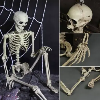 Halloween Prop Apdare Skelets Pilna Izmēra Galvaskausa Roku Dzīvi Ķermeņa Anatomiju Modeļa Dekors