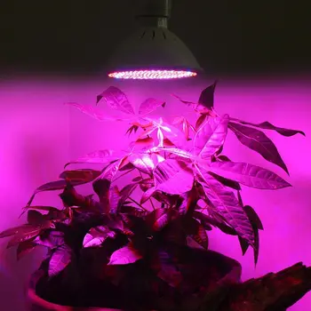 Hidroponika E27 LED 220V Dārza Siltumnīcas Ziedu, Augu Augt Iestādīšanas Gaismas Luktura Spuldze Ziedu izstādes Ģimenes Balkons Sētu