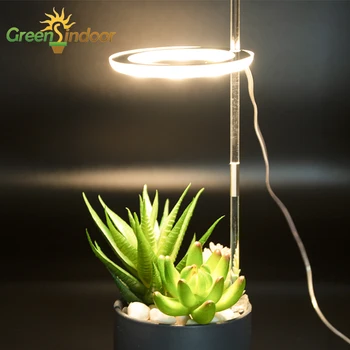 Iekštelpu LED Phytolamp Augiem Augt Gaisma Silti Balta Fito Lampas Orhidejas Galda Pieaug Ziedēšanas USB Pilna Spektra Led Hidroponiskas