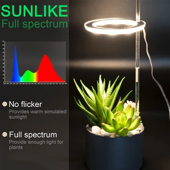 Iekštelpu LED Phytolamp Augiem Augt Gaisma Silti Balta Fito Lampas Orhidejas Galda Pieaug Ziedēšanas USB Pilna Spektra Led Hidroponiskas