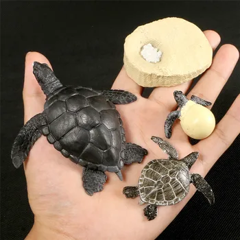 Karstā Simulācijas Dzīvnieku ABS Skaitļi Evolūcijas Posmā Tauriņš Bišu Varde Bruņurupucis Vistas Cietā Dzīvi Augšanas Cikla Komplekts Rotaļlieta Bērniem
