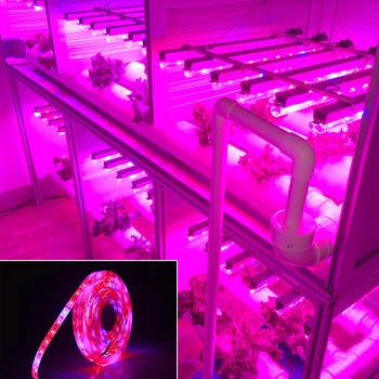 LED Augt gaismas Pilna Spektra 5M LED Strip gaismas 5050 LED Ziedu, Augu Fito Izaugsmes lampas efektu Izraisošo Hidroponiskas Audzēšanas Augu