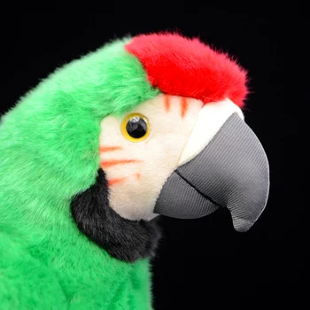 Makao Papagaiļus Zaļā Ara Makao Papagailis Psittacidae Mīksta Plīša Rotaļlieta Putnu Modelis Bērniem Dāvanu Reālās Dzīves Simulācija Gudrs Pildījumu Dzīvnieku Lelle