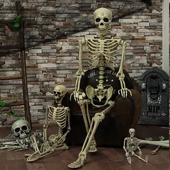 Maksimālais Piegādātājs 1gb Halloween Prop Cilvēka Skelets Pilna Izmēra Galvaskausa Roku Dzīvi Ķermeņa Anatomiju Modeļa Dekors 38x12cm