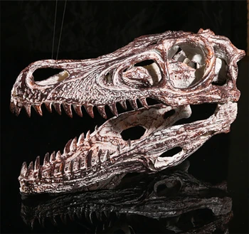 Modelis Izstāde sveķu rokdarbu izstāde pelēkā Raptor roku darbs dinozauru galvaskausa modelis KLGT012