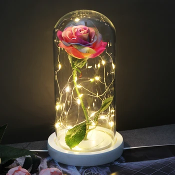 Mātes Diena Klāt, Skaistums Un Zvērs, Rožu LED Romantisks valentīndienas Dāvanas, Ekskluzīvas Pieauga Stikla Kupola Dzimšanas dienas Dāvana