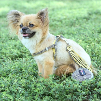 Mīksto Suņu Siksnām un Siksna Uzstādīts Regulējams Neilona Chihuahua kaklasiksna Maziem, Vidējiem Suņiem Pet Produkti, Pastaigas