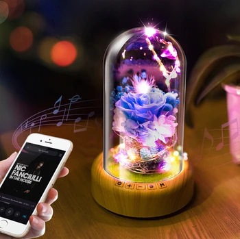 Romantisks Rožu Stikla Pudele Lampa ar String light+Uzlādējams Bezvadu Bluetooth Skaļruni Ziemassvētku Mājas Dekori Lampas