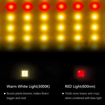 Rūpniecības Grade LED Augt Gaismas Josla Samsung LM301B Quantum Valdes 400/640/800W Pilna Spektra 3000K/3500K 660nm Augu Augt lampas