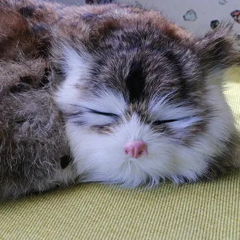 Simulācijas kaķis mazo dzīvnieku modeļu lelle plīša lelle viltus rotaļlieta kaķis dāvanu imitācijas modelēšanas kaķēns