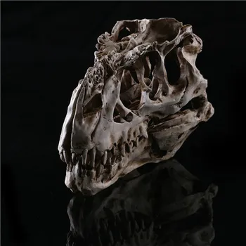 Sveķu Amatniecības Dinozauru Galvaskausa Zobu Fosilā Mācību Skeletu Modelis Halloween Mājas Biroja Halloween Dekorēšanai