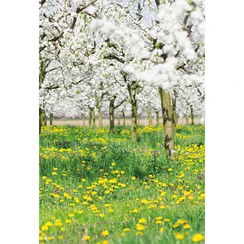 Yeele Pavasara Meža Ziedu, Koku, Ziedus, Bērnu Portreta Fotogrāfijā Fona Pielāgotus Foto Backdrops Foto Studija
